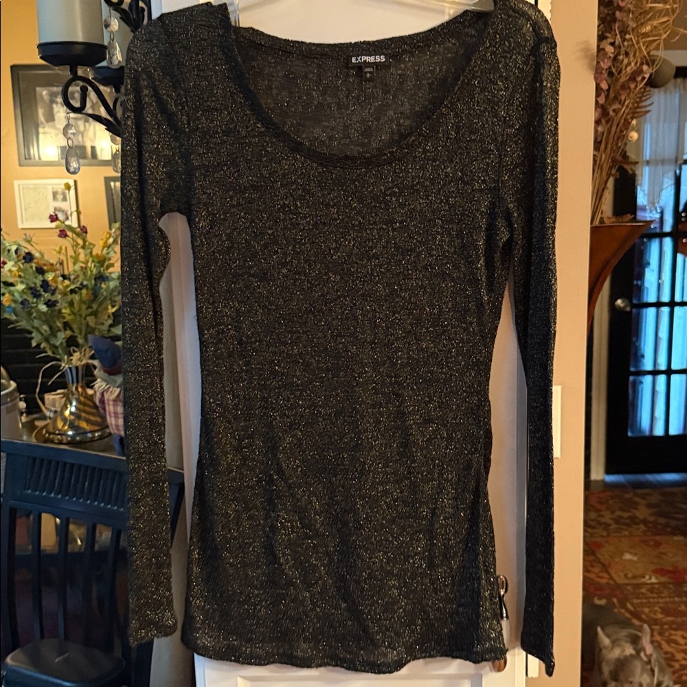 Express Shimmering Black Long Sleeve Top